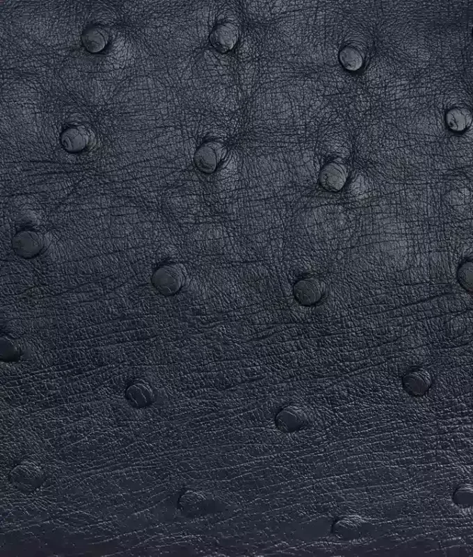 Lauren 1980 pequeño